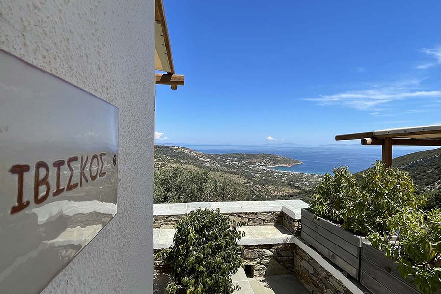 Iviskos apartment with sea views